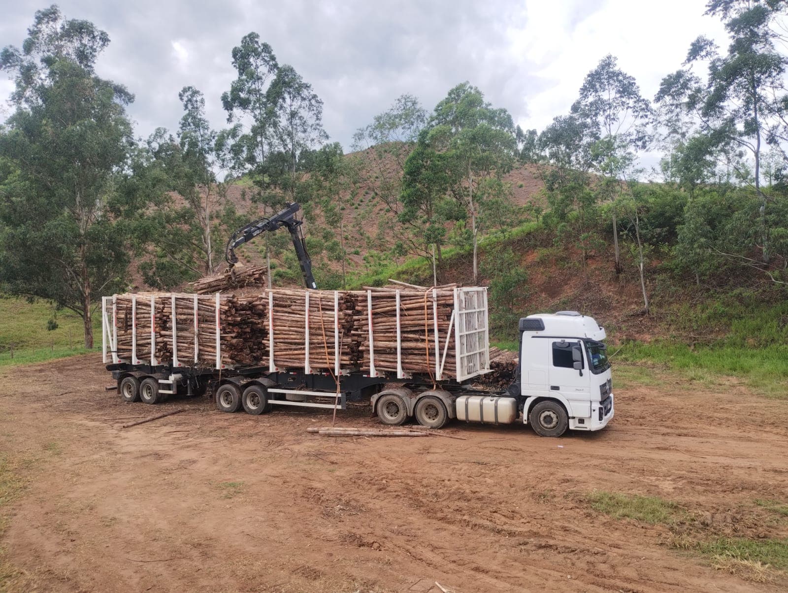Colheita e Transporte