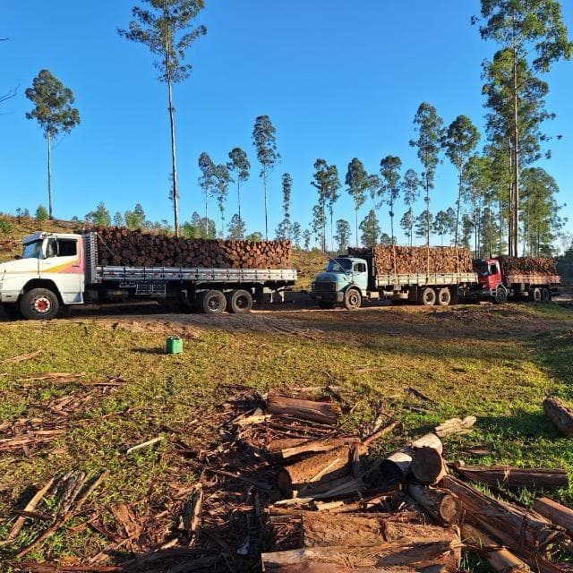Colheita e Transporte