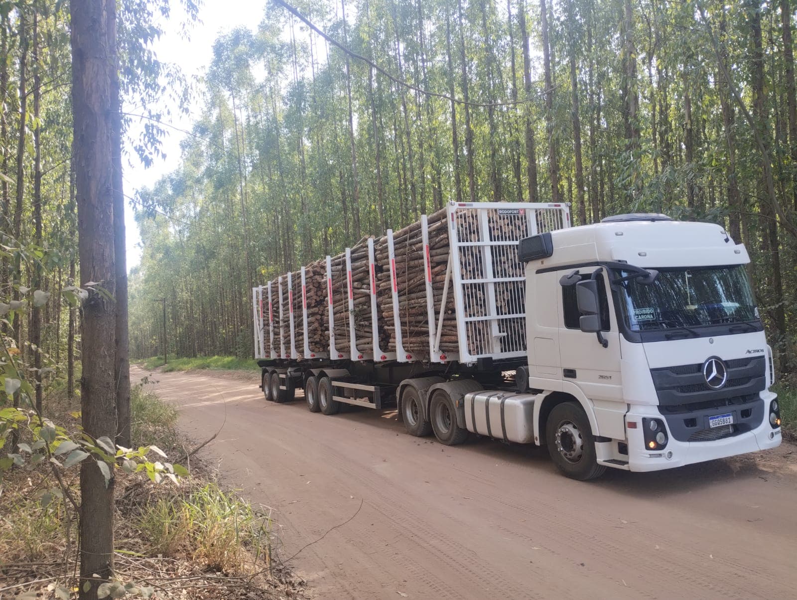 Colheita e Transporte